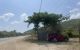 thum-9039657_Si9ePpBIvl_1679328453.jpg