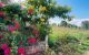 thum-9039678_LVq6l97jX2_1679356878.jpeg