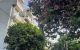 thum-9040040_gCKnXeqNi8_1679417492.jpg
