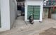 thum-m_UT3hCnI78O_1679362835.jpg