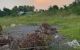 thum-m_lNkIYM36g1_1679366197.jpg