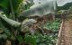 thum-9040268_8HckBlztuw_1679475498.jpg
