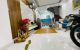 thum-m_tWBmnyLH7R_1679458728.jpg
