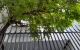 thum-9040484_xp8IJ9CLDB_1679543510.jpg