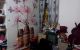 thum-9040883_wr3MmSiadg_1679638774.jpg