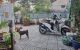 thum-9041290_hX2JM5uzxA_1679757078.jpg