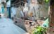 thum-m_eoA4qX0DdN_1679705622.jpg