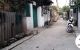 thum-9041369_45RdJMDjFZ_1679804918.jpg