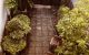 thum-m_XYdREkqO2i_1679897421.jpg