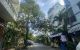 thum-m_tQfuanhZLG_1679884513.jpg