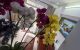 thum-9041819_gI9YfXEVUm_1679939166.jpg