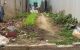 thum-m_w2lLgrDG0I_1679968964.jpg