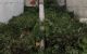 thum-9042343_rM9ElejIt2_1680078586.jpg