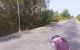 thum-9042438_xKflEYuGXP_1680101612.jpeg