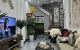 thum-m_ESZWdYK8XP_1680051000.jpg