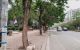 thum-9042553_AW6ywYv1TZ_1680147048.jpg