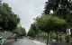 thum-9042827_esyhv1fD0H_1680225512.jpg