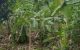 thum-9042984_aLbWCR1BI6_1680246440.jpeg