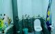 thum-9043581_uprdhYe3EV_1680437785.jpg