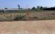 thum-9043654_bym67tDYUj_1680487088.jpg
