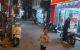 thum-9043786_Fy5Tf3ASGu_1680505616.jpg