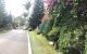 thum-9043841_y8xOUs2or1_1680511629.jpg