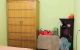 thum-9043952_4tWJaNw7oF_1680538522.jpg