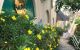 thum-m_aCp7Ad1zJc_1680511623.jpg