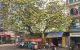 thum-9044139_5SalyGA20R_1680583237.jpg