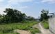 thum-9044146_QNzwM7ZX2A_1680586341.jpg