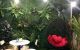 thum-9044147_REb2QldaFT_1680587041.jpg