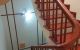 thum-9044286_JlCu83U9Ea_1680614316.jpg
