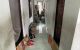 thum-9044296_q0oWQUXCfA_1680616067.jpg