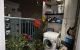 thum-9044444_pb67aRf1S2_1680666295.jpg
