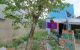 thum-9044533_pWhKIZOgL1_1680677746.jpg