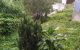 thum-9044821_35ozFGg9Kh_1680752060.jpg