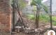 thum-m_Cw8zbAiVuK_1680855258.jpg