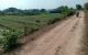 thum-9045413_BladYnmrc7_1680915662.jpg