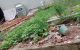 thum-9045612_o8ZCEWjfmS_1680946296.jpg