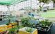 thum-9046157_nRNekcKMmt_1681139260.jpeg