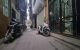 thum-9046268_y0UrVaAx54_1681182001.jpg
