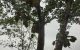 thum-9046376_luVrERyLSf_1681193152.jpg