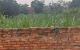 thum-9046449_4ZaFzw0bnq_1681202061.jpg
