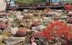 thum-9046479_MTJ1aB4PL8_1681204527.jpg