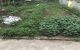thum-m_2e59BMq8YX_1681202618.jpg