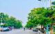 thum-m_5Zo8KU4j0r_1681200362.jpg