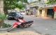 thum-9046993_4tAbx9hjwV_1681358059.jpg