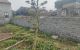thum-9047029_HzrGF8uTtM_1681362964.jpg