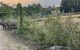 thum-9047482_tYyloJhvzi_1681456827.jpg