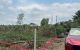 thum-m_BGkrmstf83_1681464161.jpg